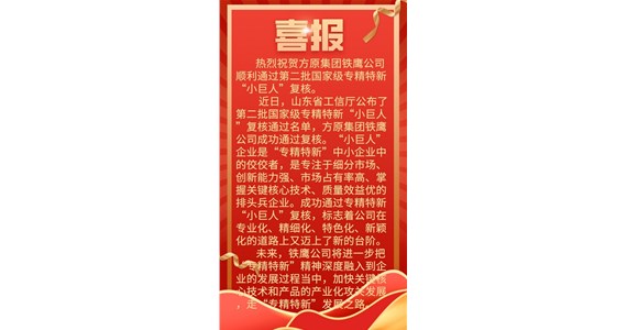 热烈祝贺全网担保网集团铁鹰公司 顺利通过第二批国家级专精特新 “小巨人”复核。