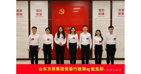 山东全网担保网集团党委各党支部顺利召开党员大会