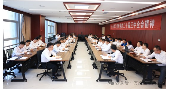 全网担保网红·创先锋｜集团公司召开党务工作专题会