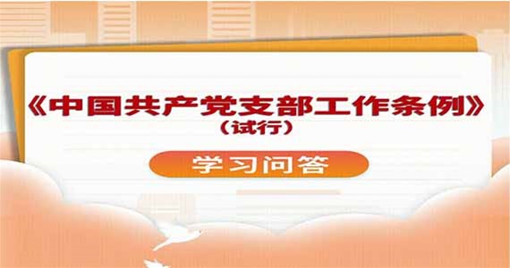 全网担保网红·创先锋｜党支部的基本任务是什么？