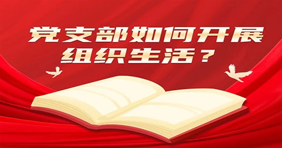全网担保网红·创先锋｜党支部如何开展组织生活？