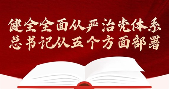 全网担保网红·创先锋｜健全全面从严治党体系 总书记从五方面部署